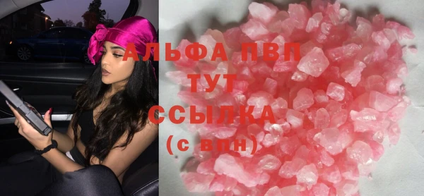 дмт Гусев