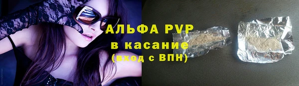 дмт Гусев