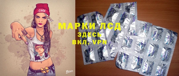 дмт Гусев