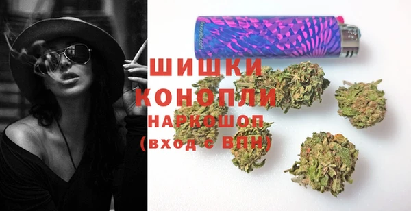 apvp Гусь-Хрустальный